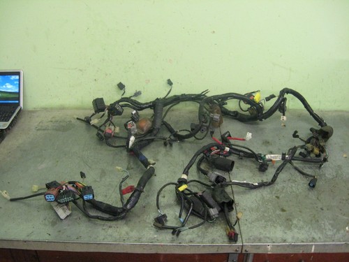 Honda 1300 wiring loom - wiring,