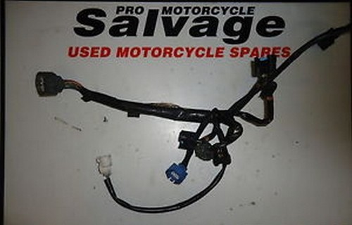 Honda 1300 pan - 1300,
